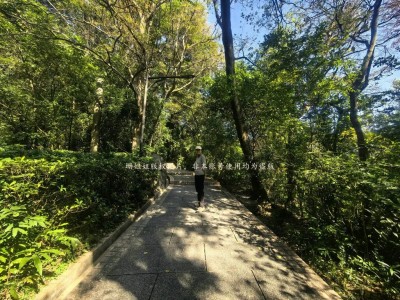 藏了多少遗憾？黄飞鸿明明葬在广州白云山，游客：为何尸骨找不到