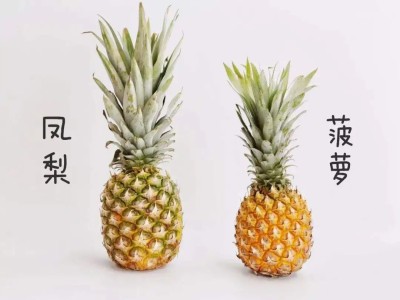 知识科普：菠萝和凤梨是同一种水果吗？