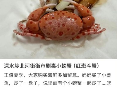 母亲买海鲜混入陌生品种螃蟹，女儿吃前用AI查询：这是红斑斗蟹，含剧毒！少量即可致命