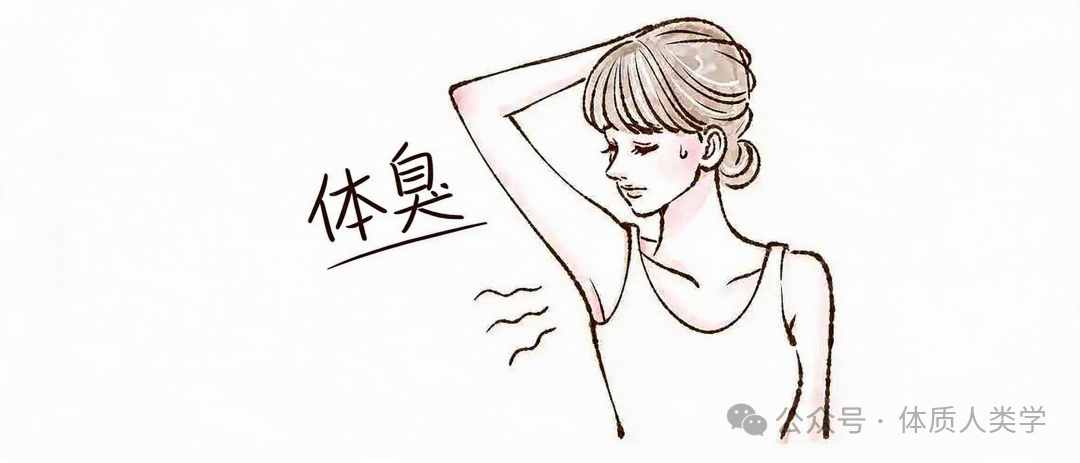 干耳垢没体味，是3万年前北亚人留给你的基因